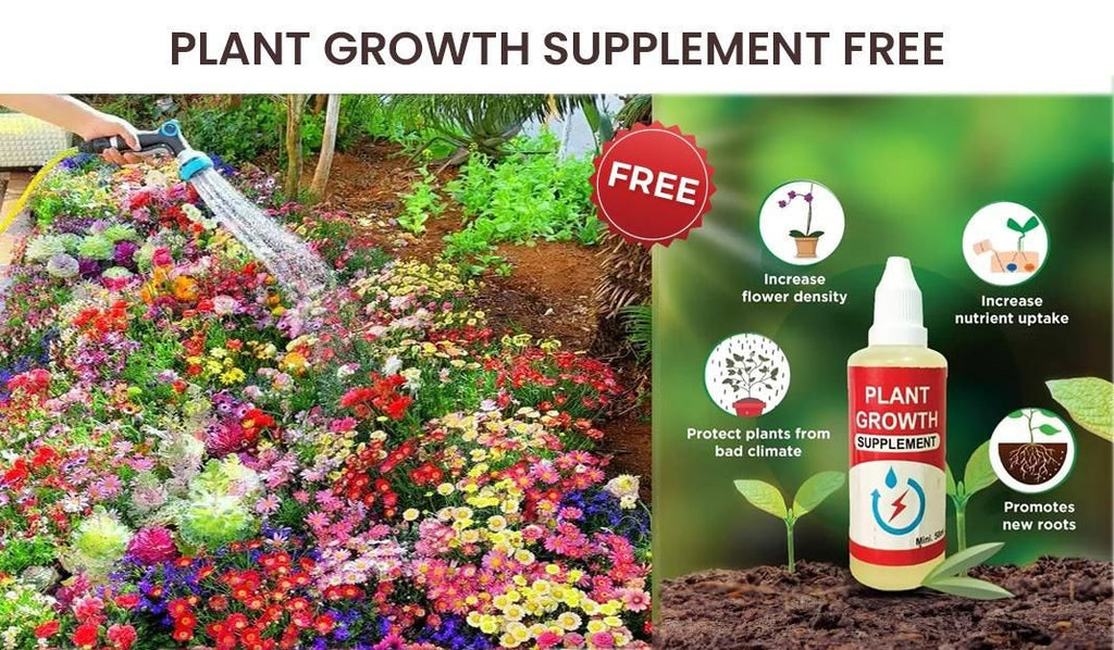 100 Varieties of Flower Seeds (Pack of 100)