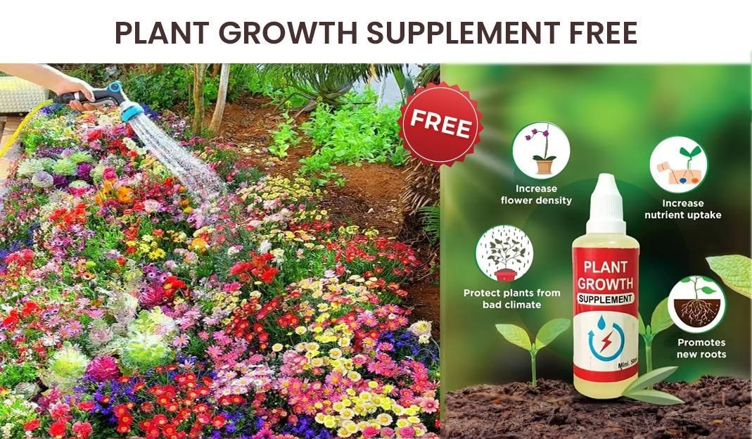 100 Varieties of Flower Seeds (Pack of 100)