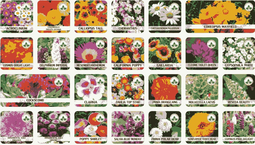 100 Varieties of Flower Seeds (Pack of 100)