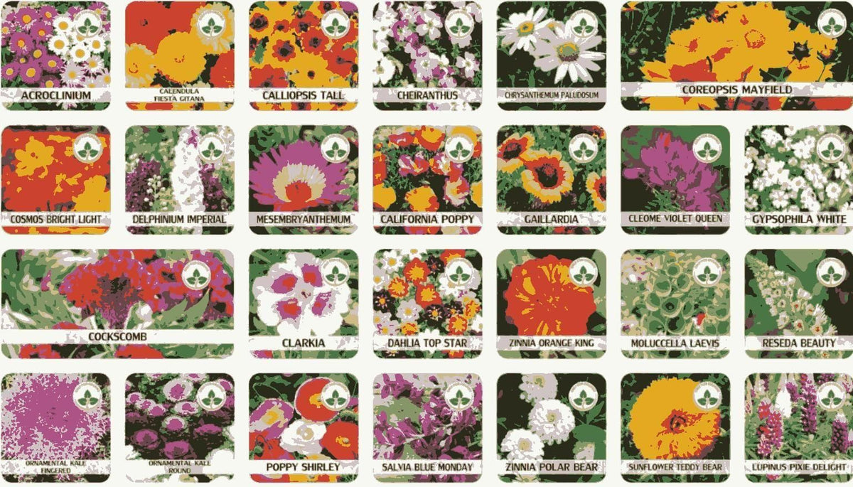 100 Varieties of Flower Seeds (Pack of 100)