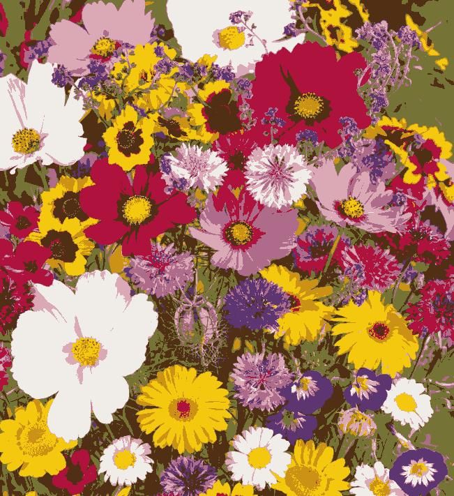 100 Varieties of Flower Seeds (Pack of 100)