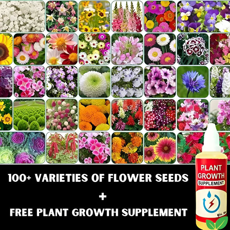 100 Varieties of Flower Seeds (Pack of 100)