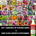 100 Varieties of Flower Seeds (Pack of 100)